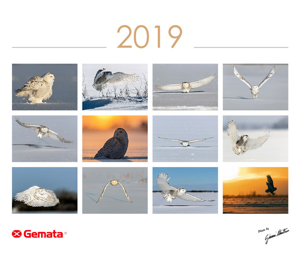 Calendario de 2019