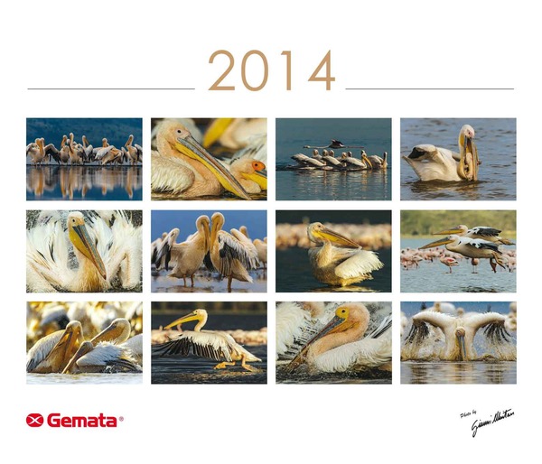 Calendário 2014