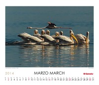 March