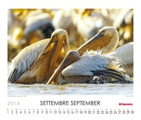 September