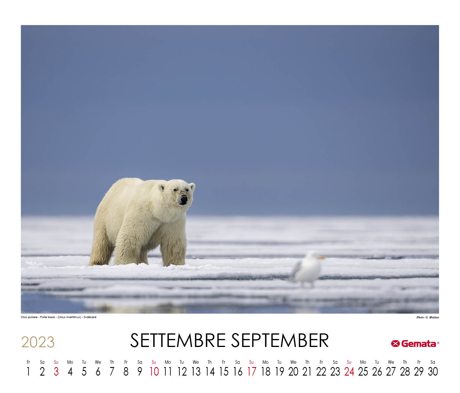 2023 Calendar