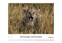 September