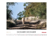 Calendario 2013