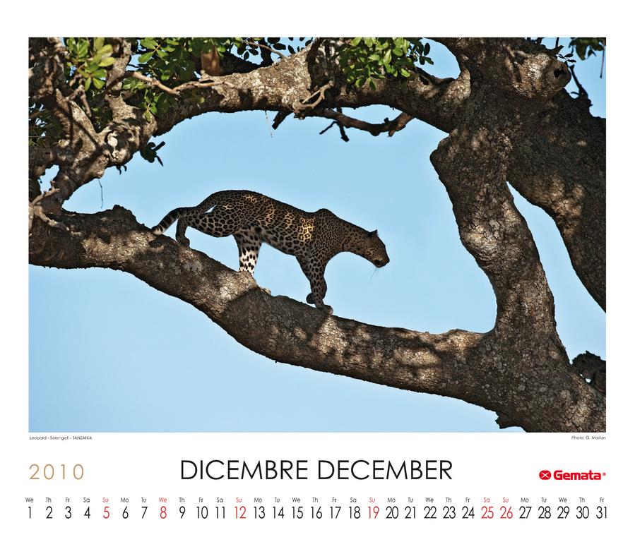 Dicembre