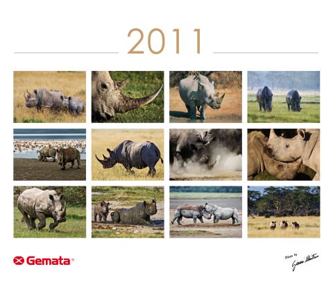 Calendar 2011