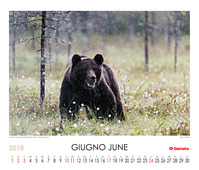 June