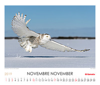 Novembre