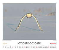 October