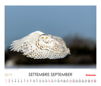 September